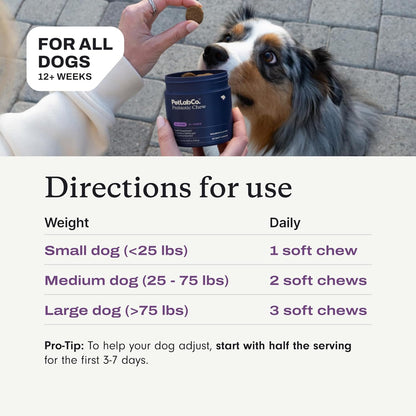 Dog Probiotic Soft Chews – Digestive, Gut & Allergy Support | Salmon Flavor (30 Count)