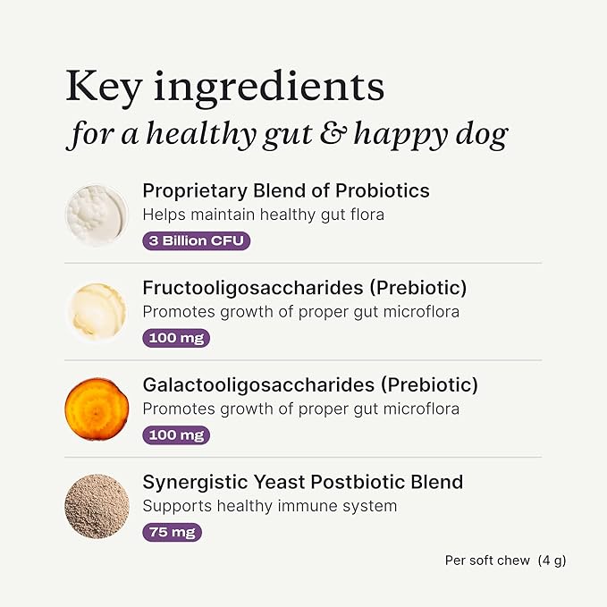 Dog Probiotic Soft Chews – Digestive, Gut & Allergy Support | Salmon Flavor (30 Count)