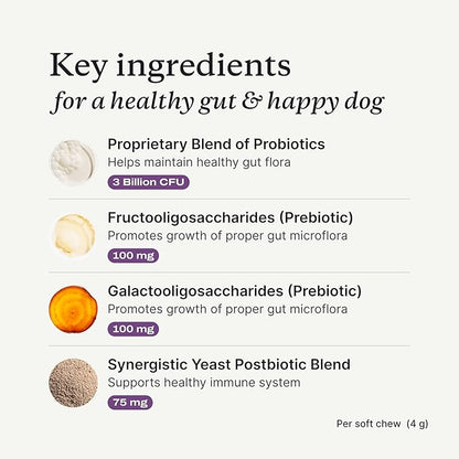 Dog Probiotic Soft Chews – Digestive, Gut & Allergy Support | Salmon Flavor (30 Count)