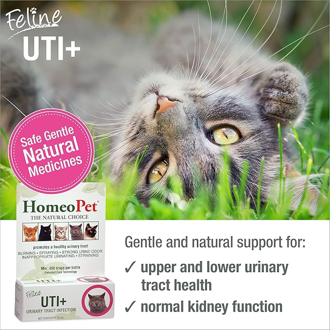 Feline UTI Support Drops – Natural Urinary Tract Formula for Cats (15ml)