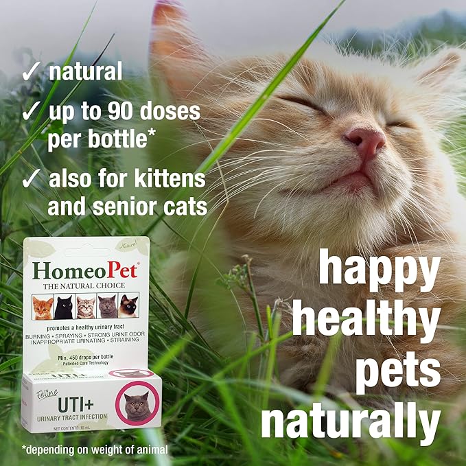 Feline UTI Support Drops – Natural Urinary Tract Formula for Cats (15ml)