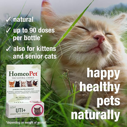 Feline UTI Support Drops – Natural Urinary Tract Formula for Cats (15ml)